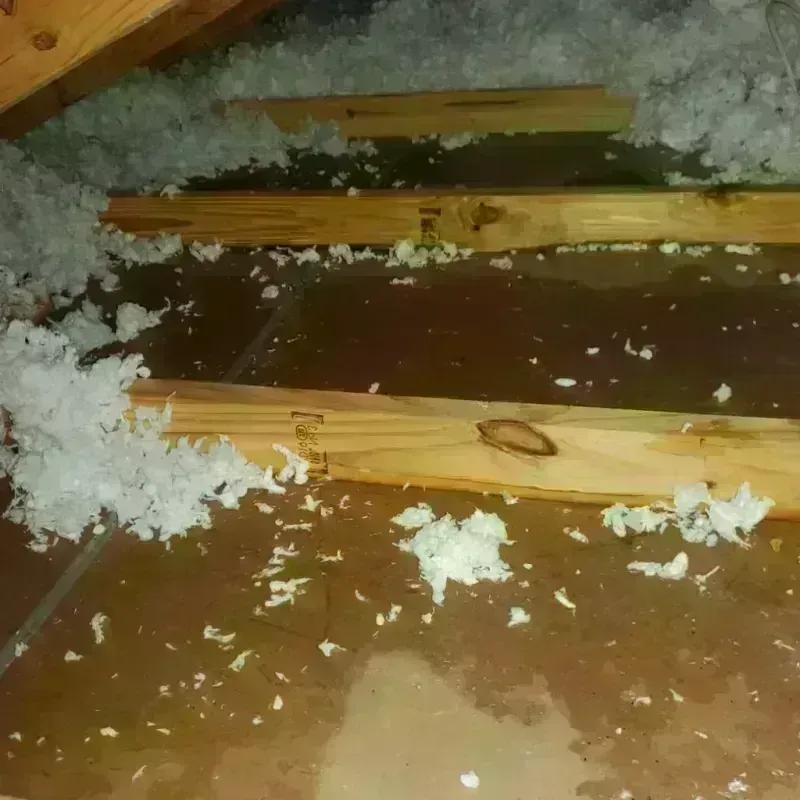 Attic Water Damage in Nuevo, CA