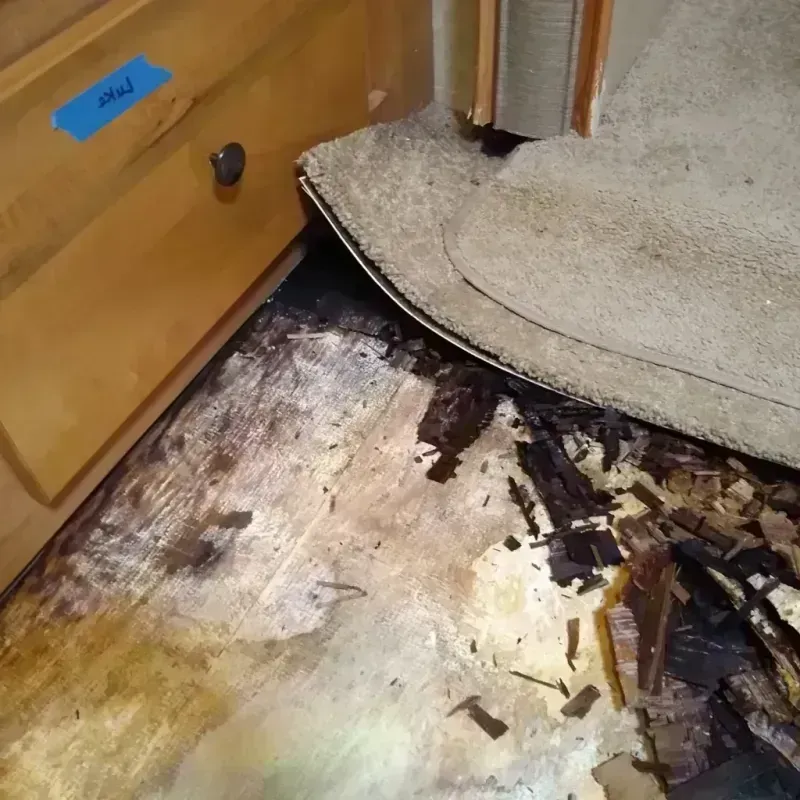 Best Wood Floor Water Damage Service in Nuevo, CA